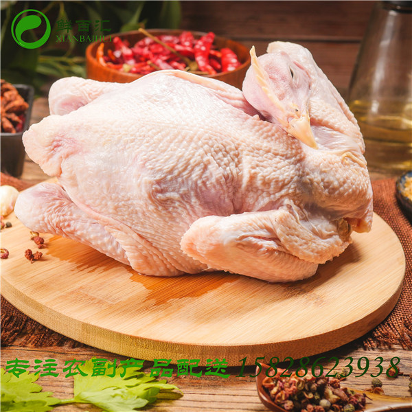 生鮮雞