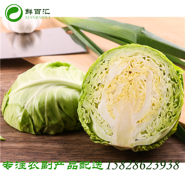 蔬菜配送哪家好