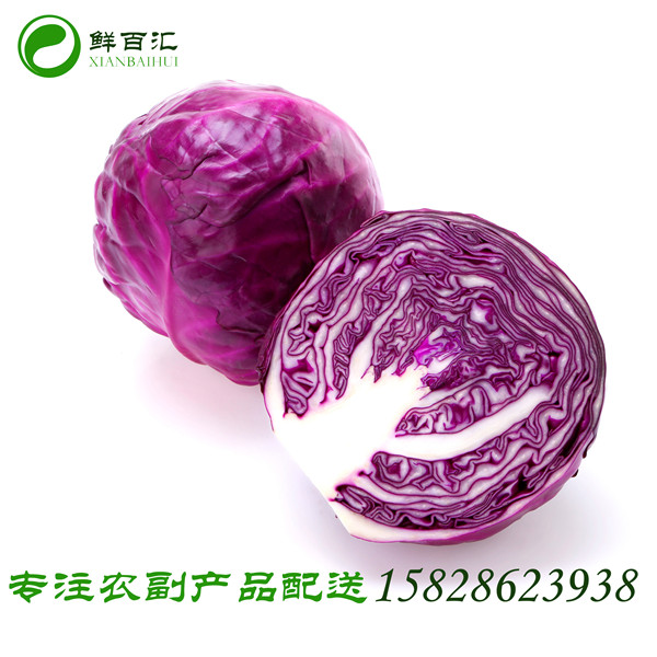 四川蔬菜配送哪家好