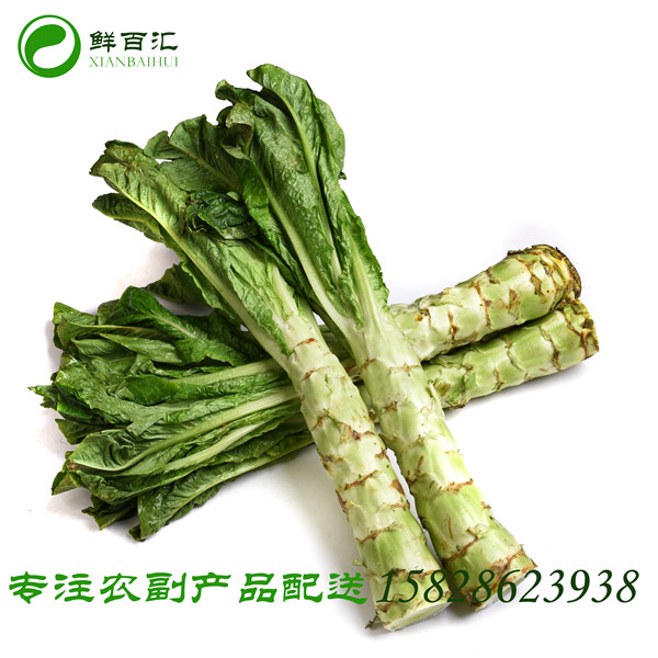 菜食材配送公司